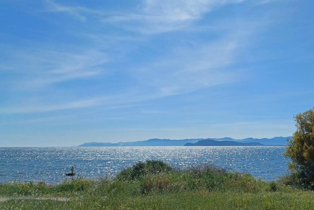 Appartamento Sul Mare Su Forti Exteriör bild